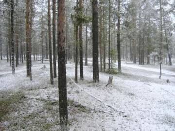 Фото номера Дом для отпуска Дома для отпуска Holiday Home Antin mökki г. Ylikyro 8