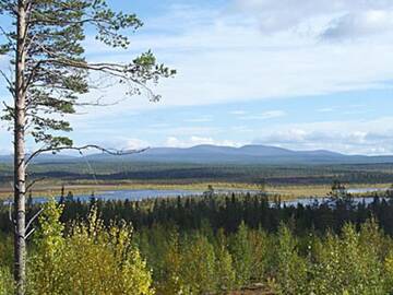 Фото номера Дом для отпуска Дома для отпуска Holiday Home Marjatan mökki г. Ylikyro 24